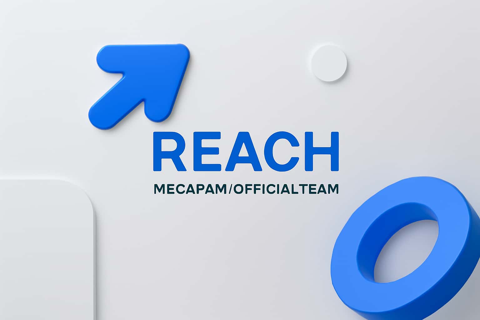 Reach Megapari Official Team Interface